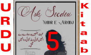 Read more about the article Ask Secdesi Urdu Novel By Noor E Arooj Episode 10