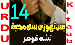 Read more about the article Bus Thori Si Mohabbat Urdu Novel By Tisha Gohar Episode 14