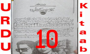 Read more about the article Daman E Sahab Urdu Novel By Mehwish Iftikhar Episode 10
