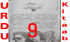 Read more about the article Daman E Sahab Urdu Novel By Mehwish Iftikhar Episode 9