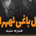 Dil Baaghi Thehra By Faiza Saleem Romantic Novel