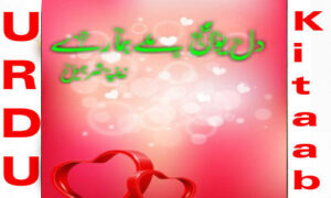 Read more about the article Dil Youn Milay Hamary Romantic Urdu Novel By Zeenia Sharjeel
