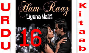 Read more about the article Hum Raaz By Liyana Malik Urdu Novel Episode 16