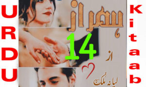 Read more about the article Hum Raaz Urdu Novel By Liyana Malik Episode14