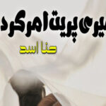 Meri Preet Amar Kardo By Hina Asad Complete Novel