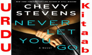 Read more about the article Never Let You Go by Chevy Stevens English Novel