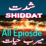 Shiddat Urdu Novel by Meerab Hayat All Episode