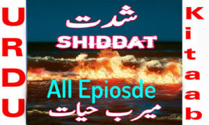 Read more about the article Shiddat Urdu Novel by Meerab Hayat All Episode