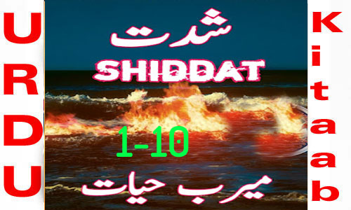 Shiddat Urdu Novel by Meerab Hayat Episode 1-10