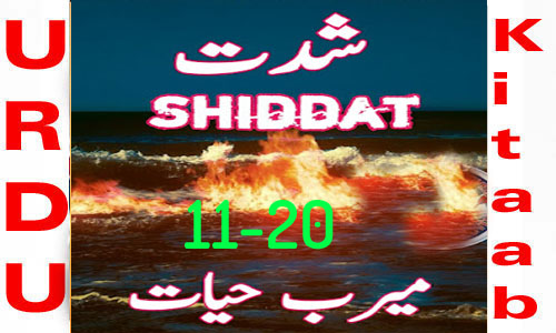 Shiddat Urdu Novel by Meerab Hayat Episode 11-20