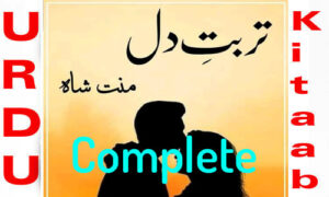 Read more about the article Turbat e Dil by Mannat Shah Complete Romantic Novel