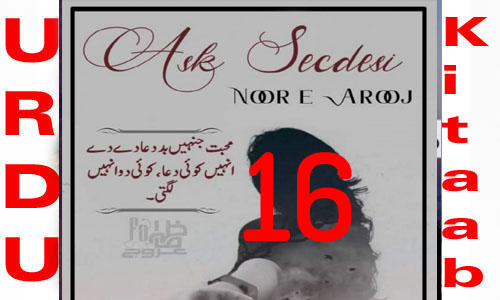 Ask Secdesi By Noor E Arooj Urdu Novel Episode 16