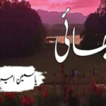 Bhai By Yasmeen Amer Complete Novel
