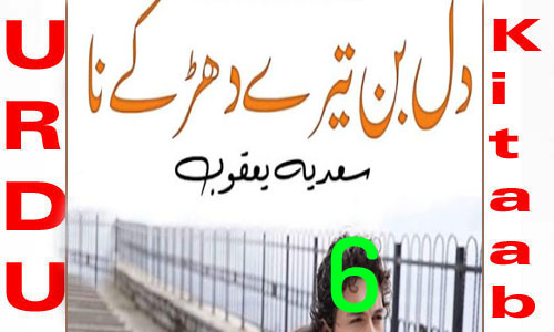 Dil Bin Tere Dhadke Na By Sadia Yaqoob Urdu Novel Episode 6