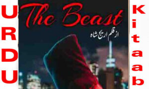 Read more about the article The Beast by Areej Shah Complete Novel