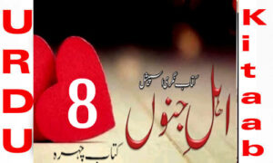 Read more about the article Ahl E Junoon By Kitab Chehra Urdu Novel Episode 8