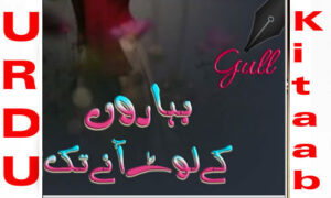 Read more about the article Baharon Ke Lout Anye Tak By Gull Romantic Novel