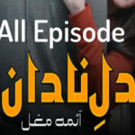 Dil e Nadan by Ayma Mughal Romantic Novel All Episode