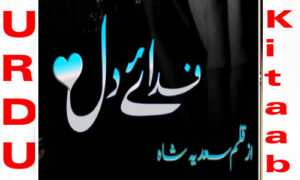 Read more about the article Fida E Dil by Sadia Shah Romantic Novel