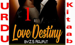 Read more about the article Love Destiny By Z.S Rajput Romantic Novel Episode 1