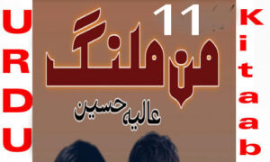 Read more about the article Maan Malang By Aliya Hussain Urdu Novel Episode 11