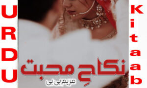 Read more about the article Nikah E Mohabbat By Maryam Bibi Romantic Novel