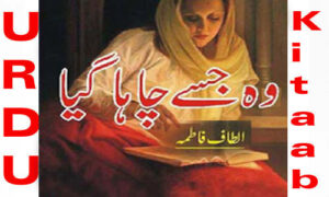 Read more about the article Wo Jise Chaha Gaya By Altaf Fatima Urdu Novel