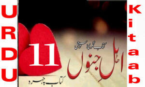 Read more about the article Ahl E Junoon By Kitab Chehra Romantic Novel Episode 11