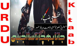 Read more about the article Jana Pehchana Sa Ajnabi by Uzma Zia Romantic Novel