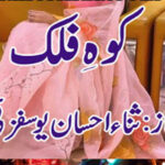 Koh E Falak By Sana Ehsan Yousafxai Urdu Novel Episode 1