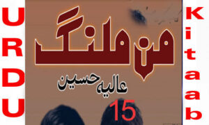 Read more about the article Maan Malang By Aliya Hussain Urdu Novel Episode 15