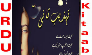 Read more about the article Mohabbat Jeet Hoti Hai By Tehzeeb Sani Romantic Novel
