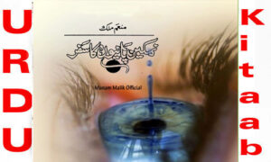 Read more about the article Namkeen Panio Ka Safar by Munam Malik Urdu Novel