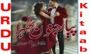 Read more about the article Pyaar Junoon Thehra By Zanoor Writes Complete Romantic Novel