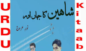 Read more about the article Shaheen Ka Jahan Aur By Noor E Arooj Romantic Novel