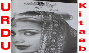 Read more about the article Shehar E Wafa Ke Aainay Main By Aasia Mazhar Novel Episode 5