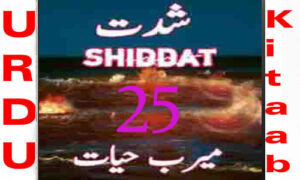 Read more about the article Shiddat Urdu Novel by Meerab Hayat Episode 25