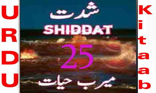 Shiddat Urdu Novel by Meerab Hayat Episode 25