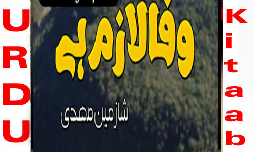 Wafa Lazim HaiBy Shazmeen Mehdi Romantic Novel Episode 2