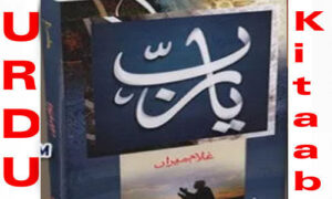 Read more about the article Ya Rab By Ghulam Miran Urdu Novel