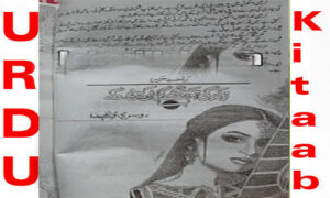 Read more about the article Zindagi Hum Tujhe Guzaren Ge By Rahat Jabeen Episode 14