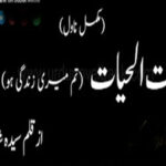 Ant Ul Hayat By Syeda Shah Complete Novel