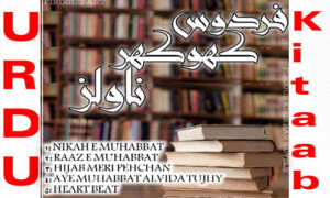 Read more about the article Firdous Khokhar Complete Urdu Novel List