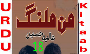Read more about the article Maan Malang By Aliya Hussain Urdu Novel Episode 18