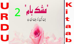 Read more about the article Mushk Baam by Sumaira Hameed Urdu Novel Episode 2