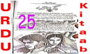 Read more about the article Rangrez Mere By Iffat Sehar Tahir Urdu Novel Episode 25