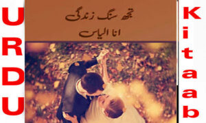 Read more about the article Tujh Sung Zindagi By Ana Ilyas Complete Novel