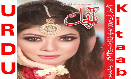 Aanchal Digest February 2024 Read and Download
