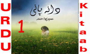 Read more about the article Daana Paani By Umera Ahmed Urdu Novel Episode 1