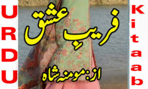 Read more about the article Fareb E Ishq By Momina Shah Complete Novel